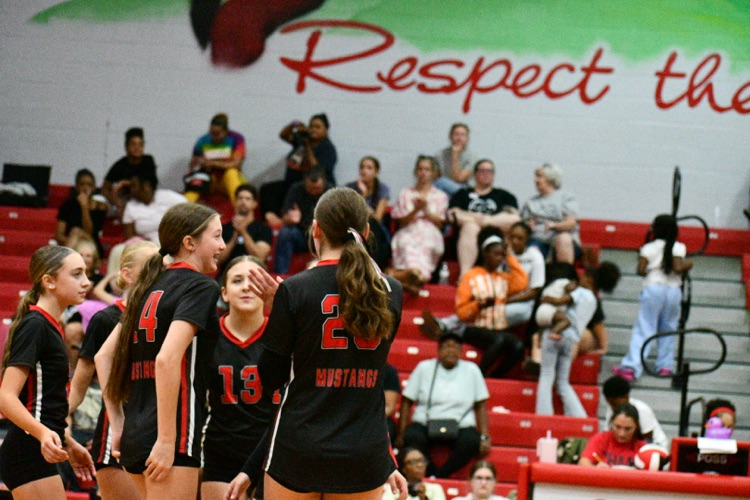 volleyball players celebrating a win.
