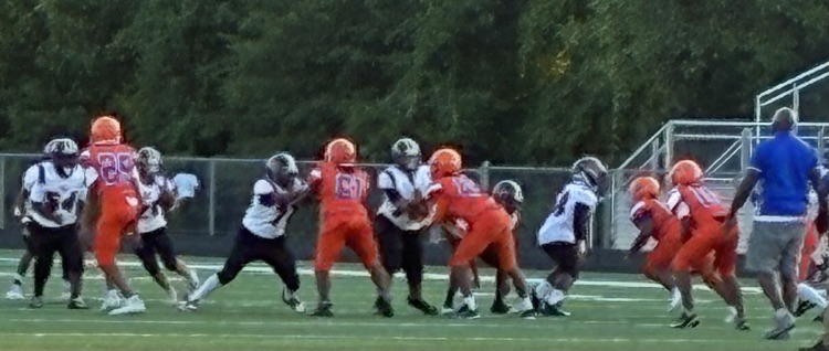 football players blocking on a football field.