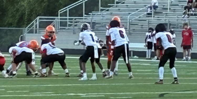 football players lined up on the football field for a play.