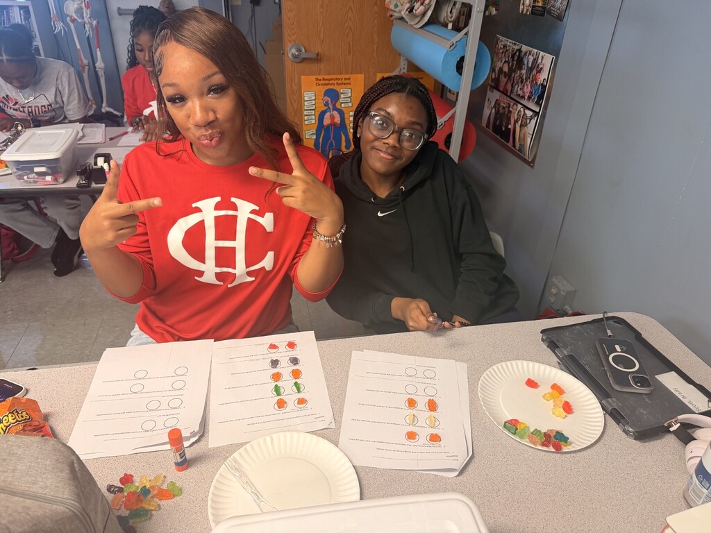 students cutting up gummy bears