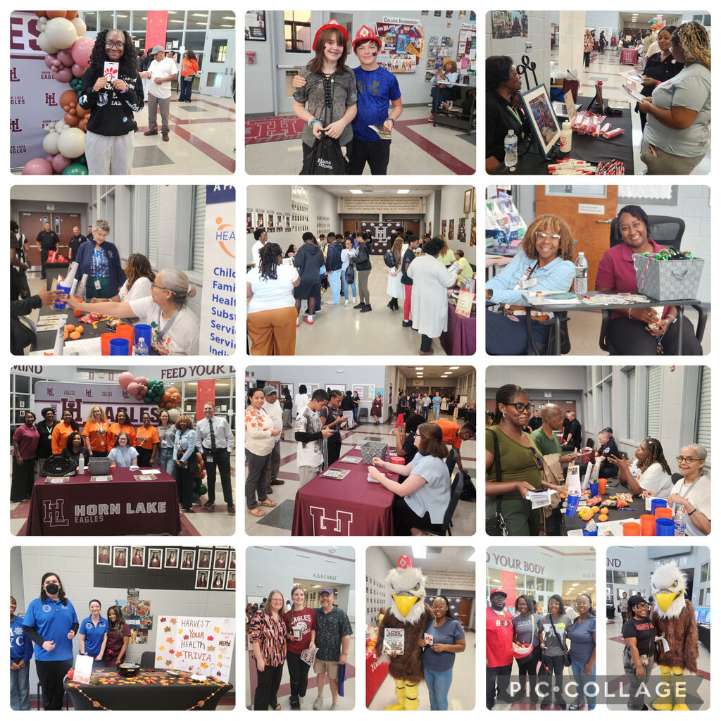 groups of pics at HLHS