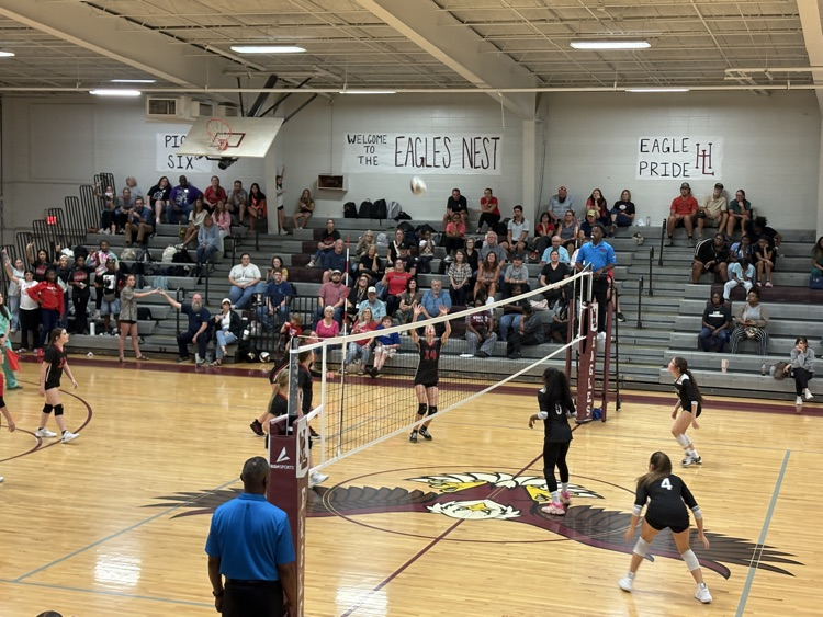 image shows several volleyball players playing volleyball on a court with an eagle in the center.