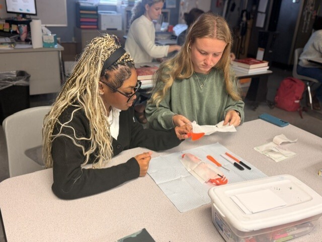 two students practicing sterile wrapping