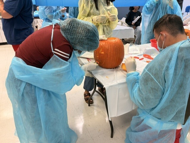 students pumpkinectomy