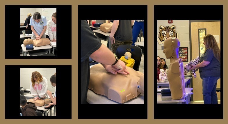 Baby Week at HHS - Students are Learning CPR 