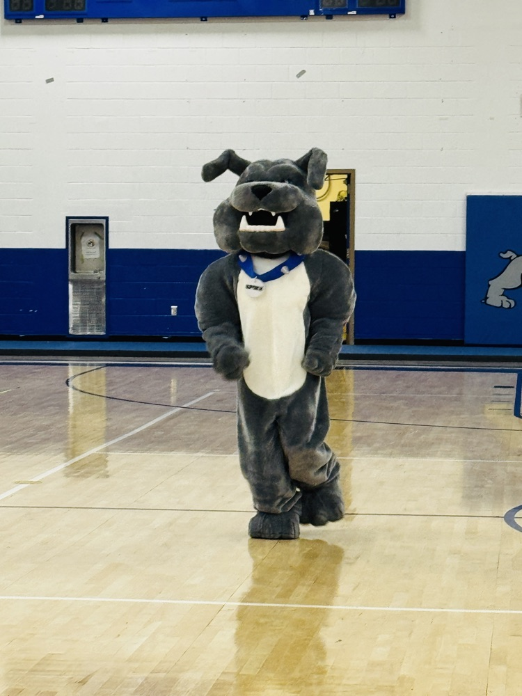 DHs mascot bulldog