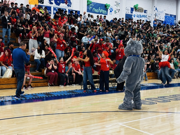 Bulldog in front of Junior class