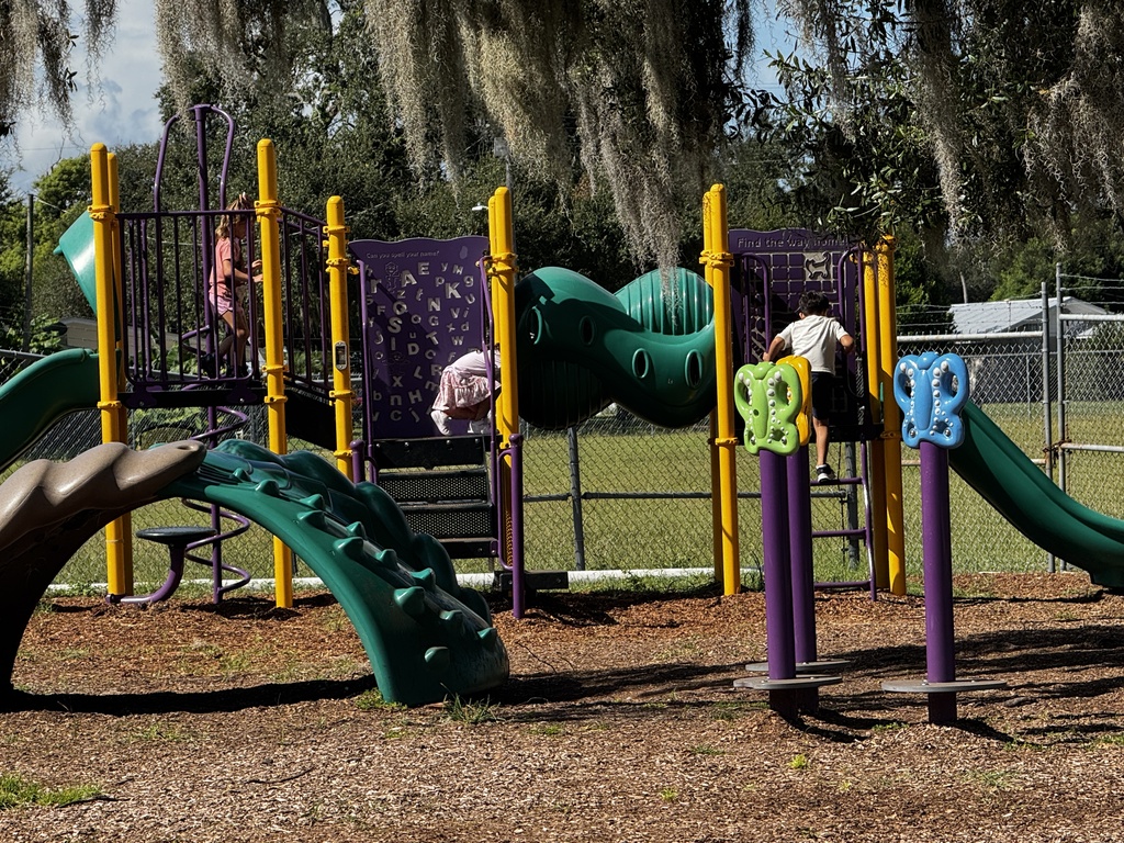 kids playing on the playground