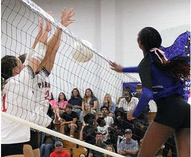 girsl playing volleyball