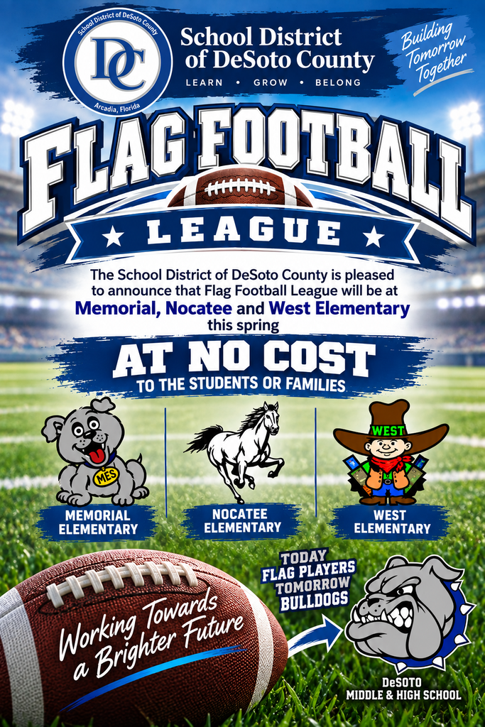 Flyer for Flag Footall League with football and field in the background