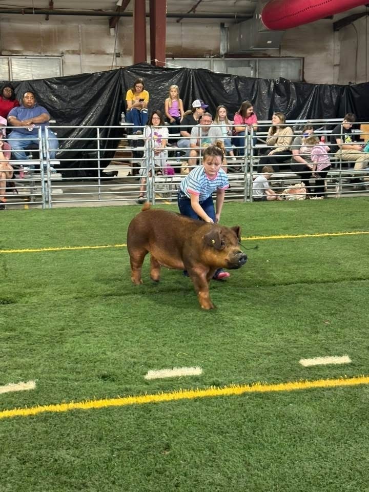 4-H 5