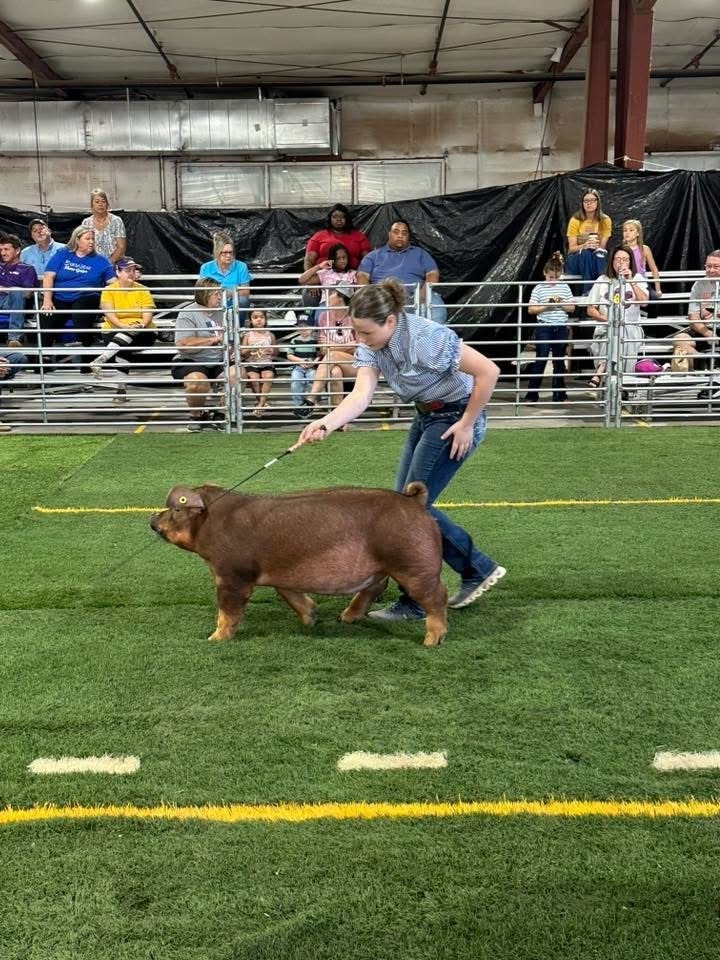 4-H 6