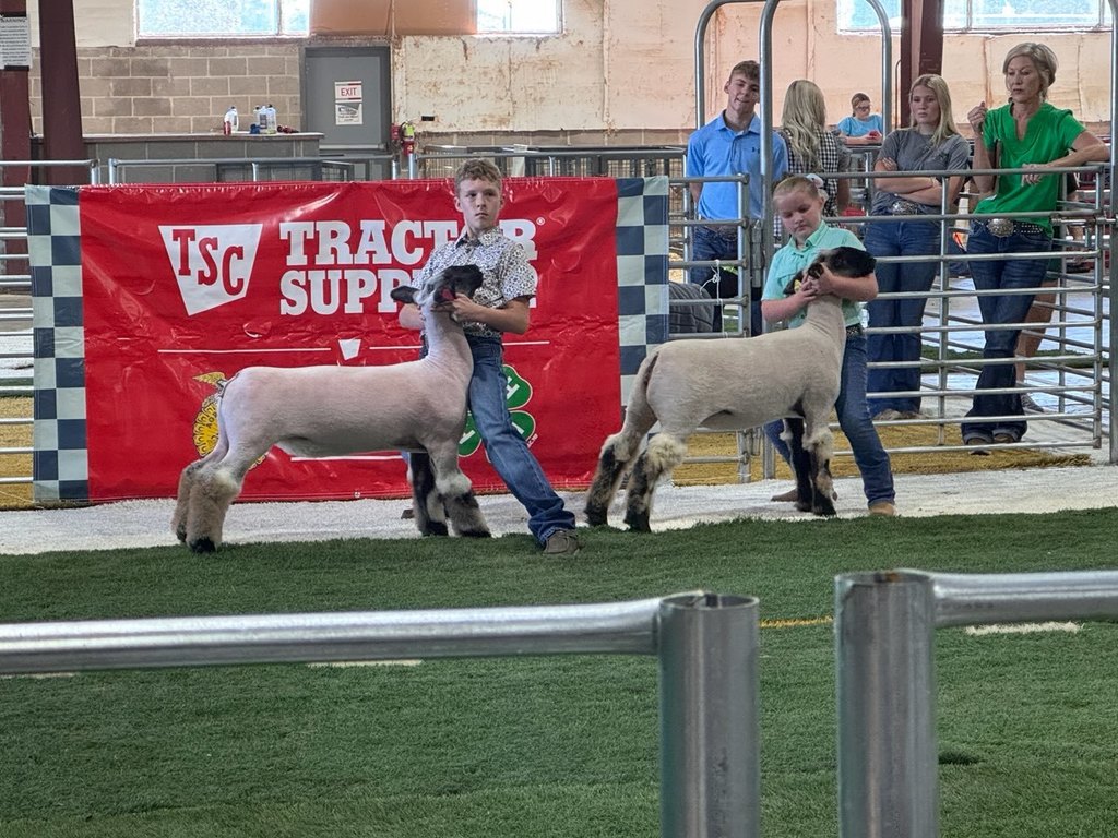 4-H 1