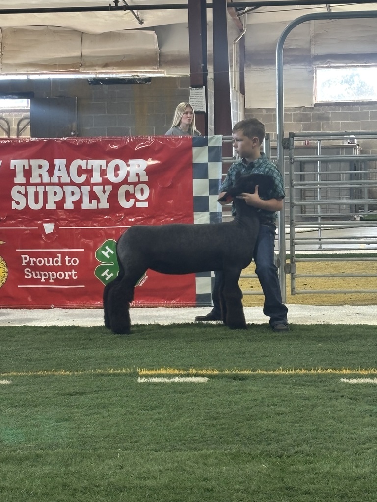 4-H 8