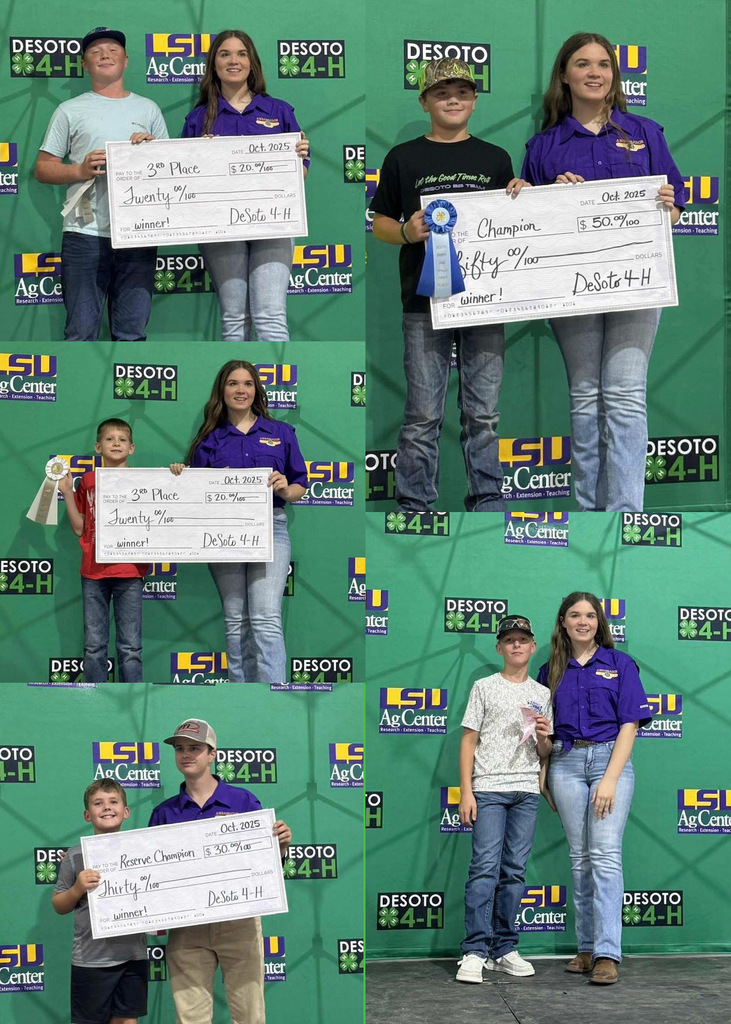 4-H 4