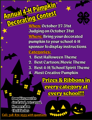 Pumpkin Contest 2025