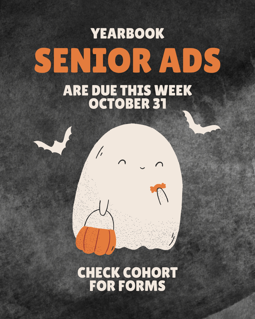 NDHS Senior Ads