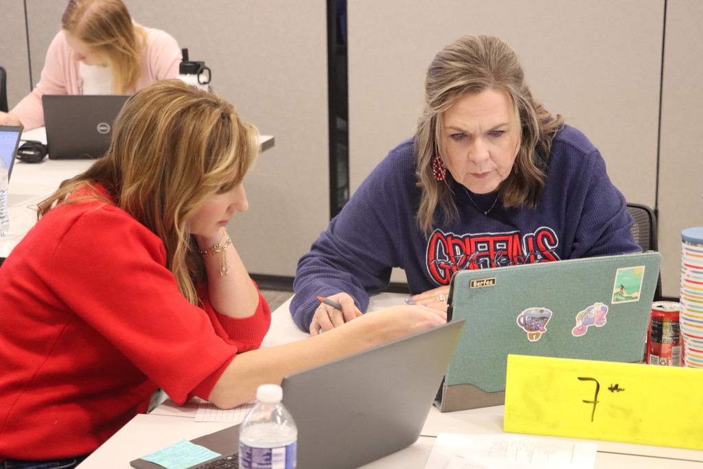 professional development