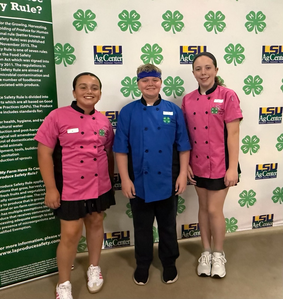 SHS 4-H