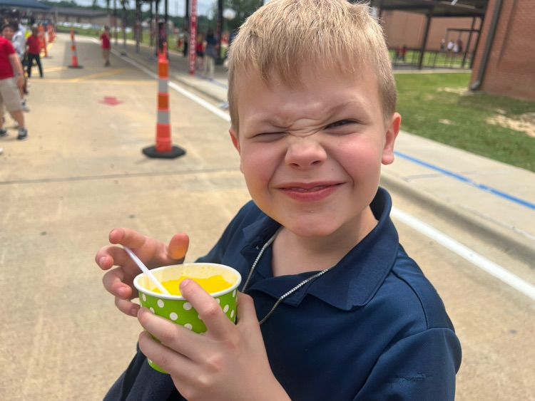 snocones