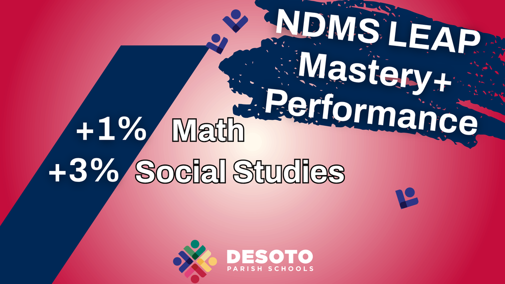 NDMS LEAP Mastery+ Performance