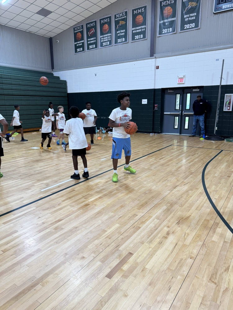 iGrind basketball 