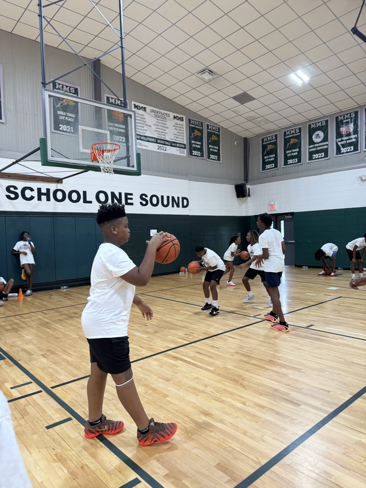 iGrind basketball 