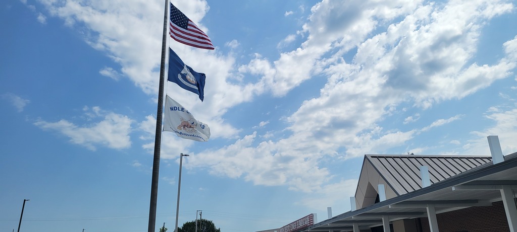 flags