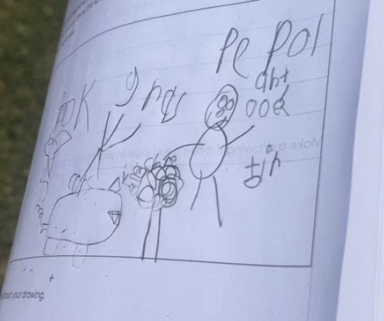2nd grade