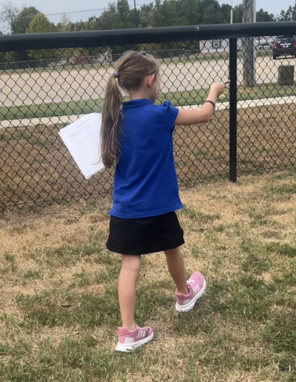 2nd grade