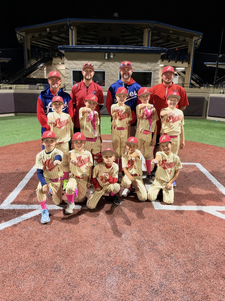 A group of children in baseball uniforms poses for a team photo on a baseball field.