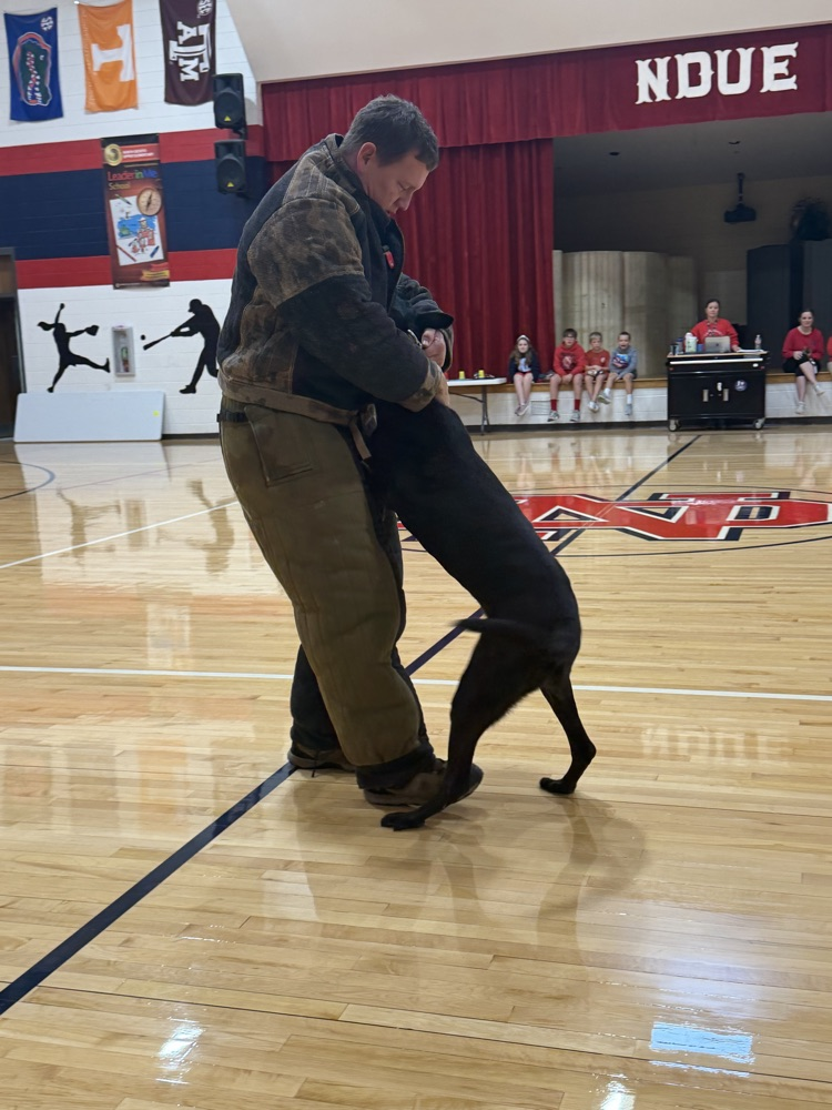 A man and a black dog stand on a gym floor. Behind them, a red curtain and banners.