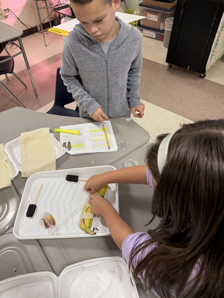 Children working on a science project in a classroom; one holding a banana peel.