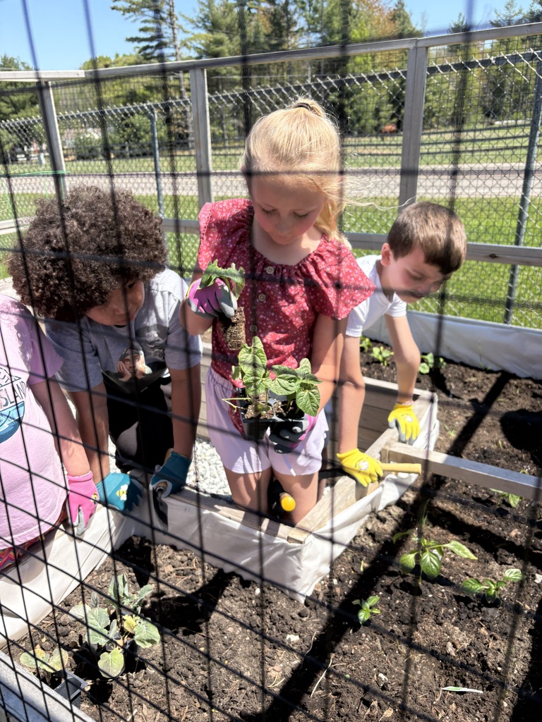 Students planting their garden.