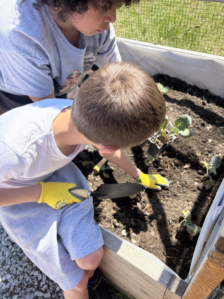 Drummond Island Elementary Students planting their garden.