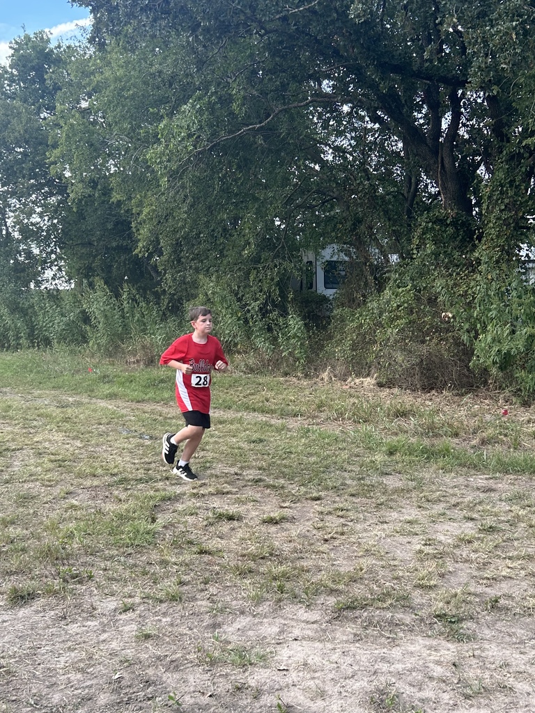  xc