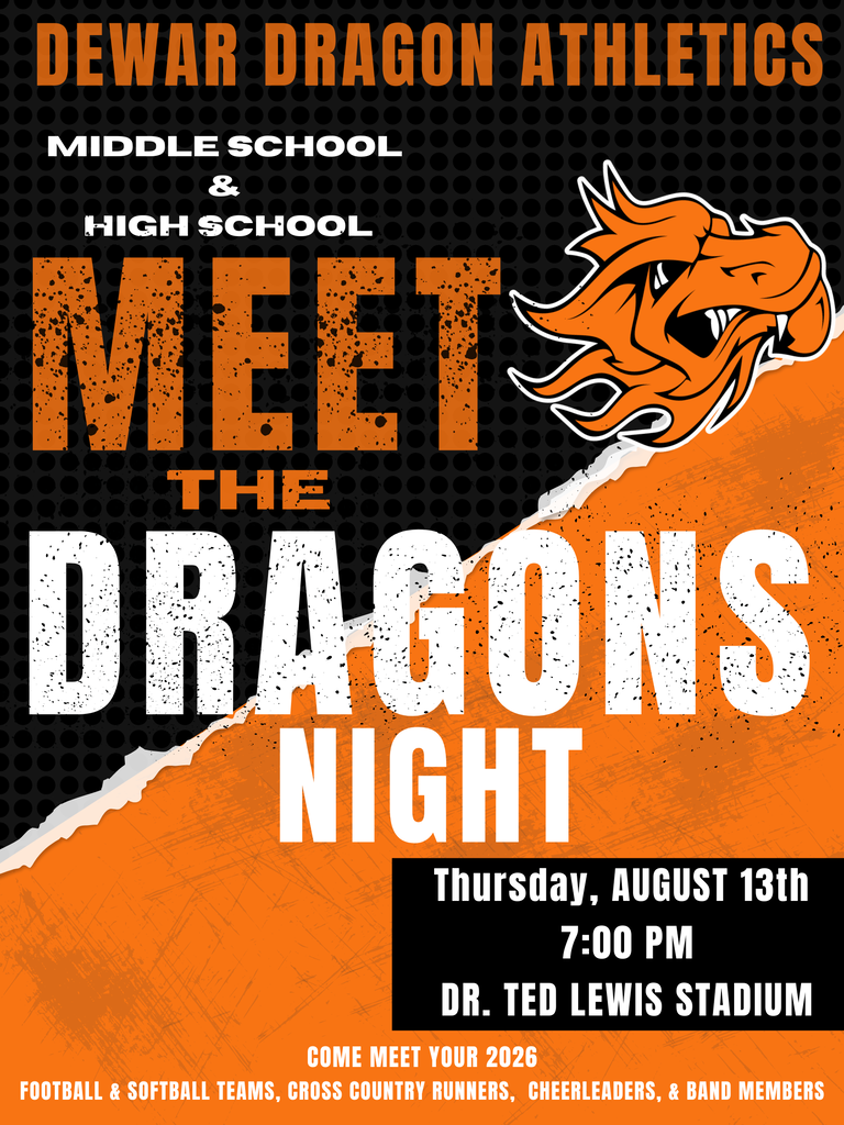 meet the dragons