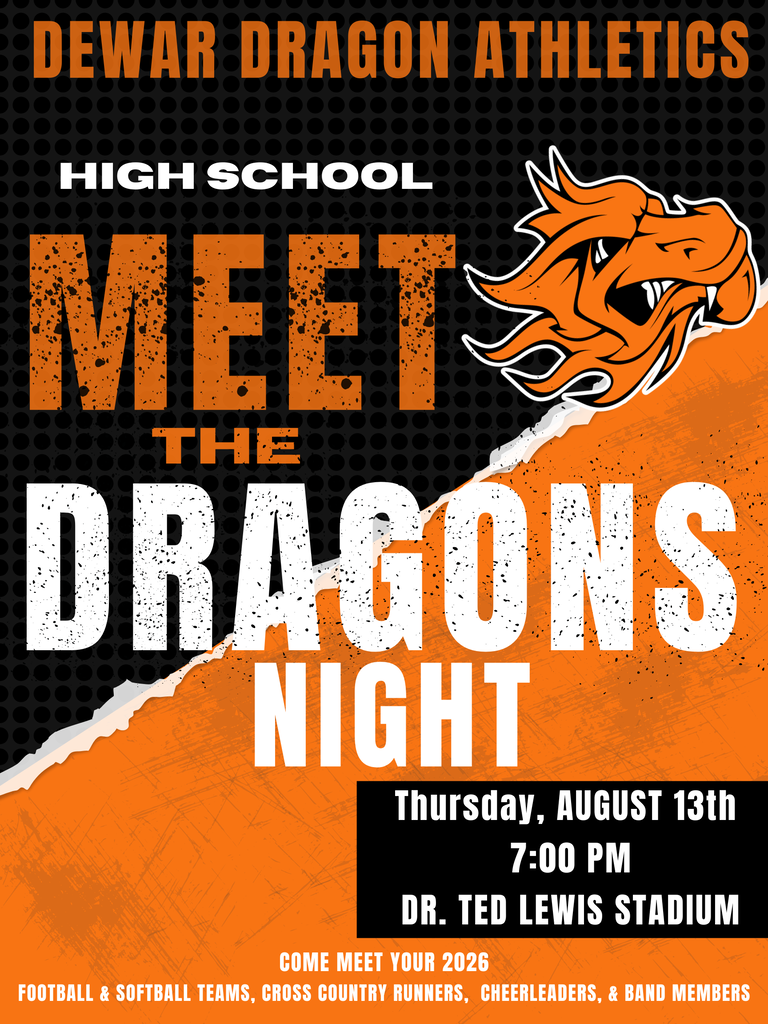 meet the dragons