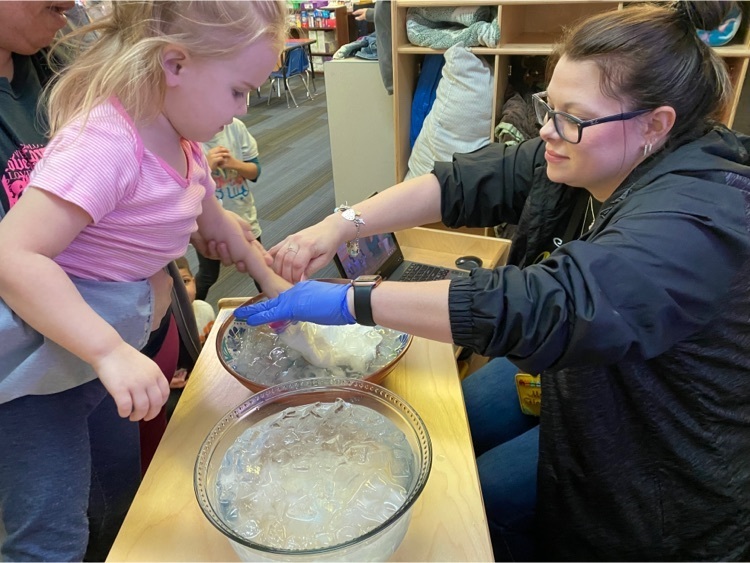 student participating in blubber experiment