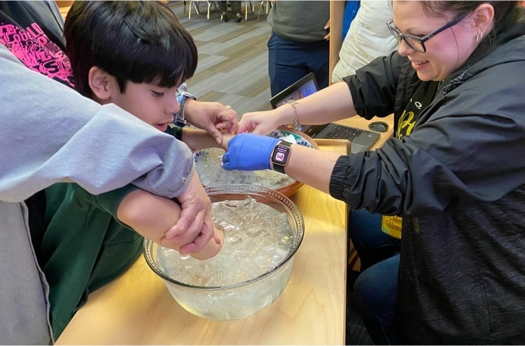 student participating in blubber experiment