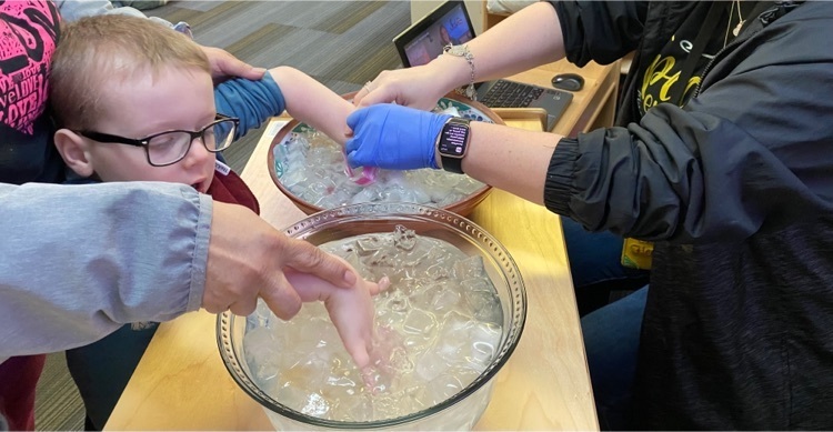 student participating in blubber experiment