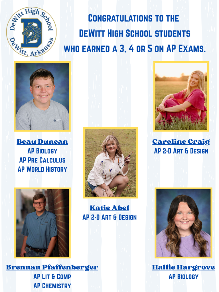 Congratulations to our DHS students who have received a 3, 4 or 5 on their AP exams!