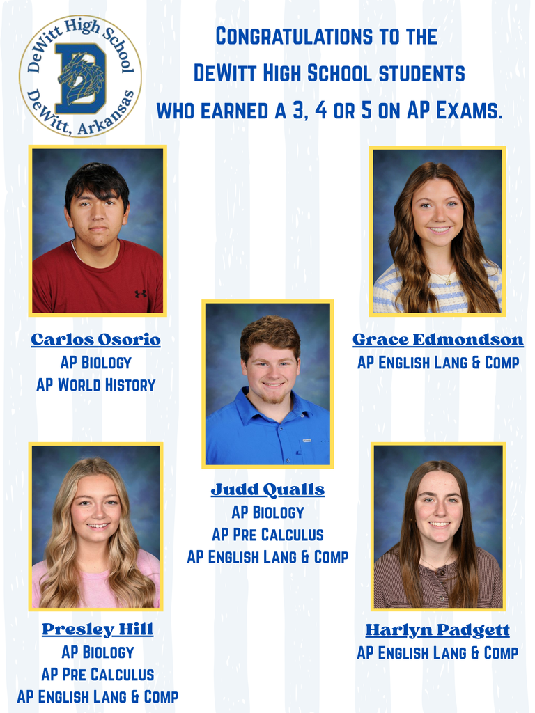 Congratulations to our DHS students who have received a 3, 4 or 5 on their AP exams!