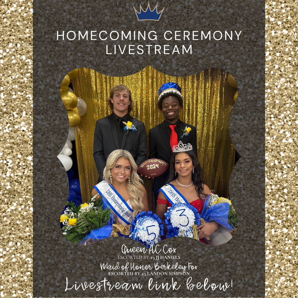 2024 dewitt homecoming