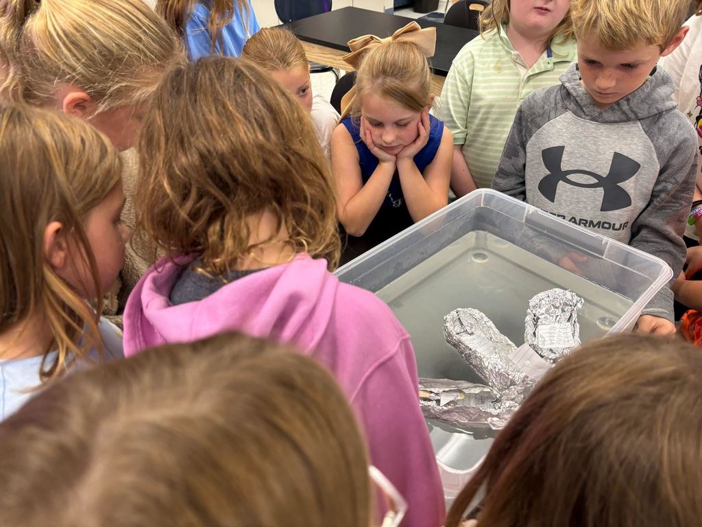 STEM Class Engineering