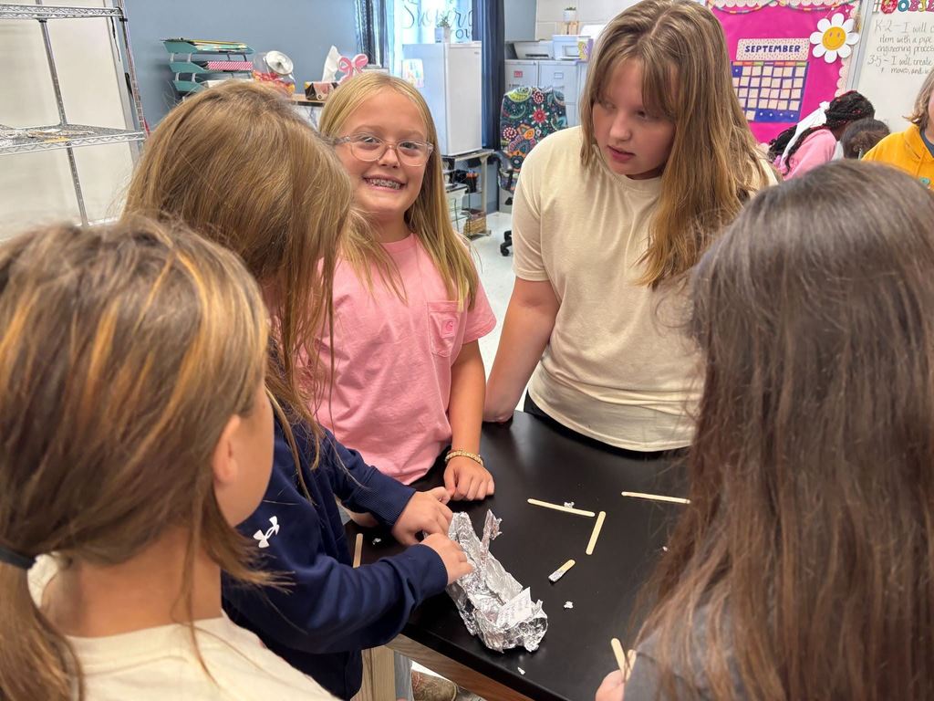 STEM Class Engineering