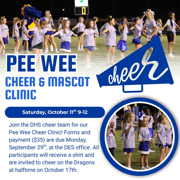 cheer clinic