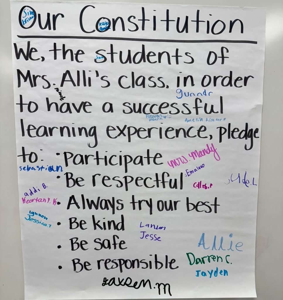 Class Constitution