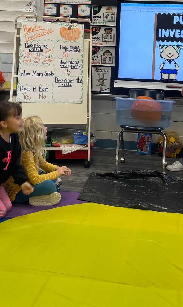 pumpkin investigation