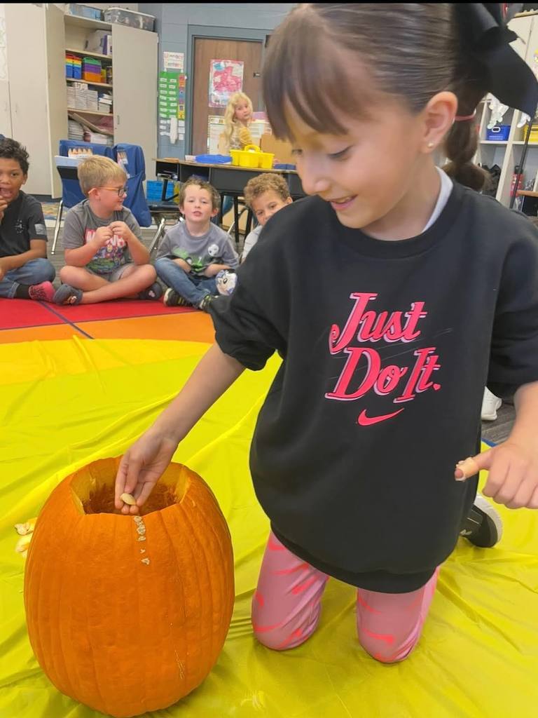 pumpkin investigation